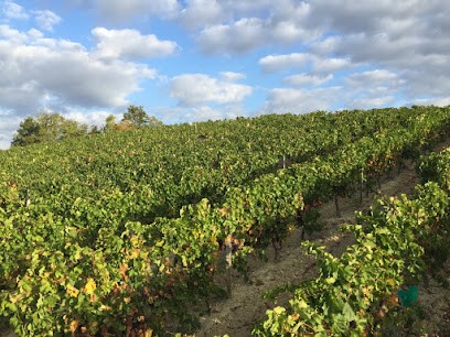 DOMAINE DU TUCOULET, Vignoble à Auch