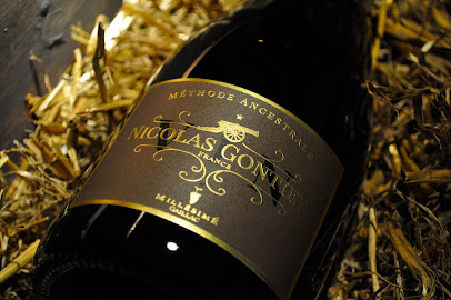 Vins Nicolas Gontier, Vignoble à Ambres