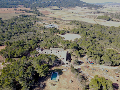 Domaine Petit Donos Vignoble à Thézan-des-Corbières