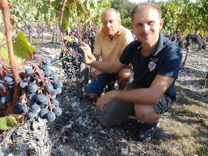 Domaine Péjusclat, Vignoble à Bagat-en-Quercy