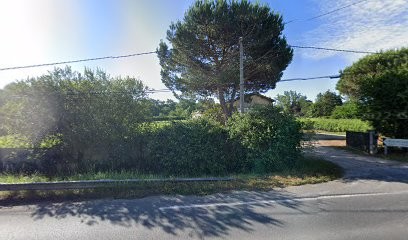 Ch. La Rose des Tuileries, Vignoble à Néac