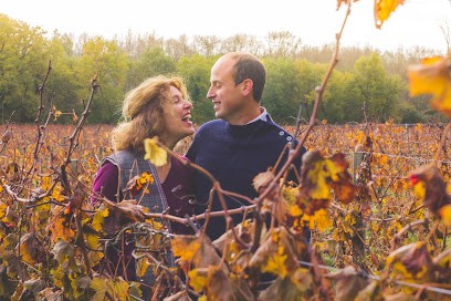 Château Terrasson, Vignoble à Puisseguin