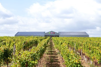 Domaine Mercier - MD Vins, Vignoble à Vix