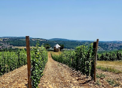 Domaine de la Petite Gallée, Vignoble à Millery