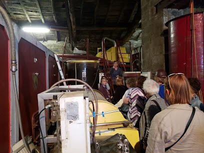 Domaine Du Bois Pothier, Vignoble à Ternand