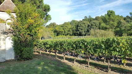 Château Roumagnac La Maréchale, Vignoble à La Rivière