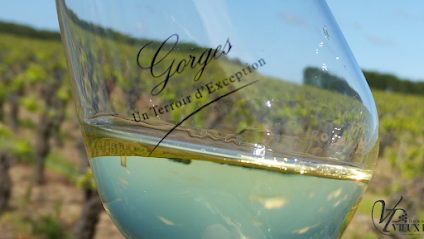 Le Vieux Puits Vignoble à Gorges