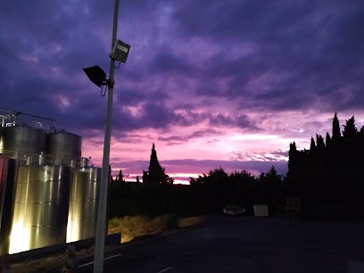 Les Vignobles de Vendéole, Vignoble à Arzens