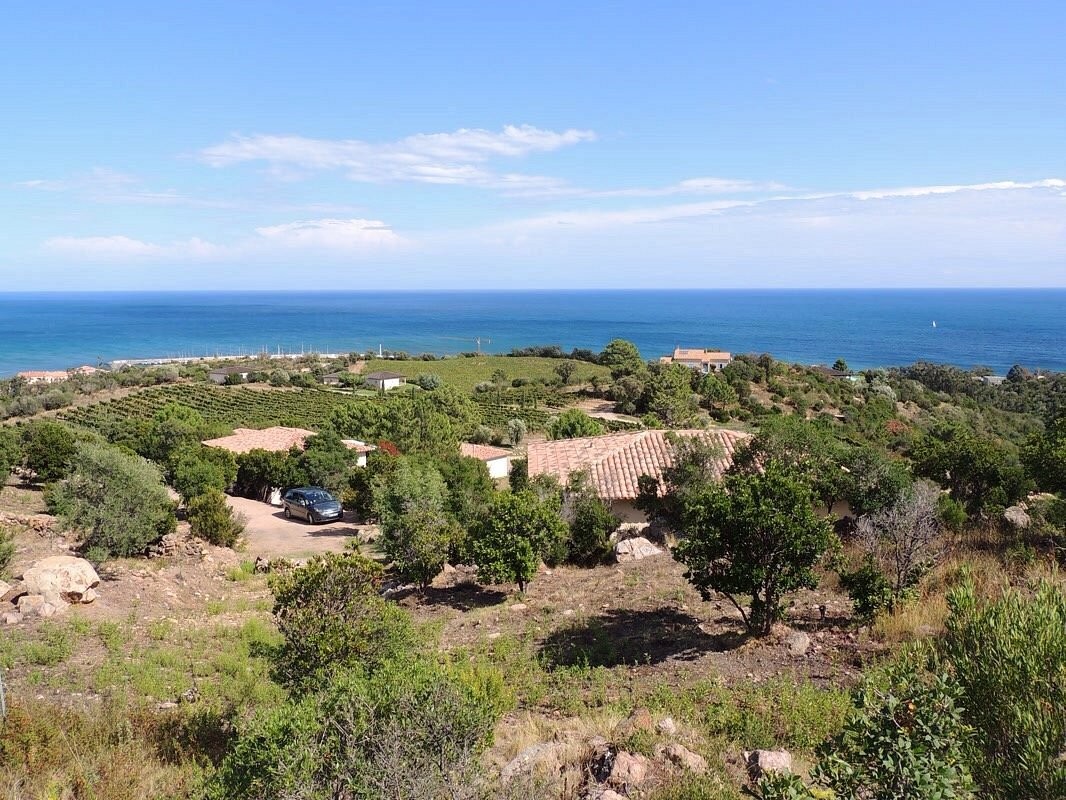 Domaine de Solenzara, Vignoble à Sari-Solenzara