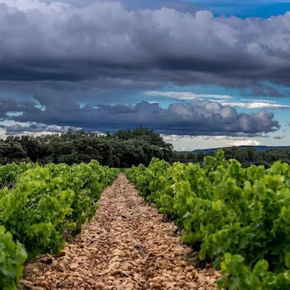 Caves Clément, Domaine des Garriguettes, Vignoble à Châteauneuf-de-Gadagne