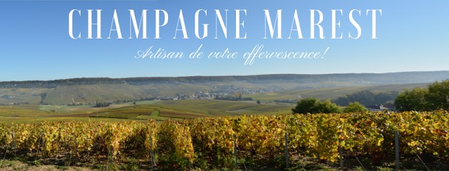 Champagne Marest, Vignoble à Grauves
