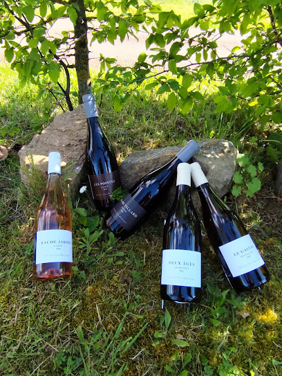 Domaine Jean Wambergue Vignoble à Saulcet