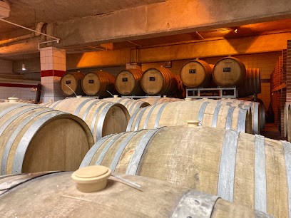 Champagne Jumeau-Delozanne, Vignoble à Serzy-et-Prin