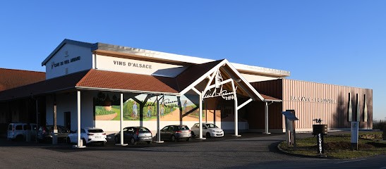 Cave Vinicole Du Vieil Armand, Vignoble à Soultz-Haut-Rhin