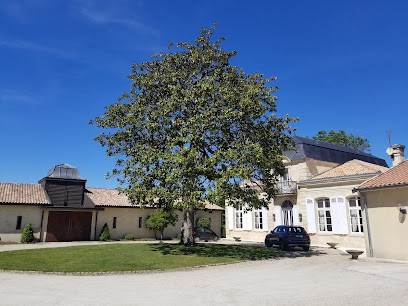 Château Deyrem Valentin Margaux, Vignoble à Soussans
