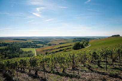 Champagne Senez Frères Vignoble à Fontette