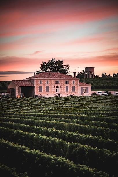 Château Maison Neuve, Vignoble à Saint-Palais