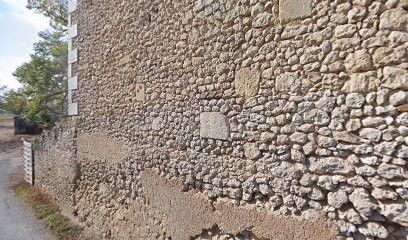 Sci Bittard, Vignoble à Vanxains