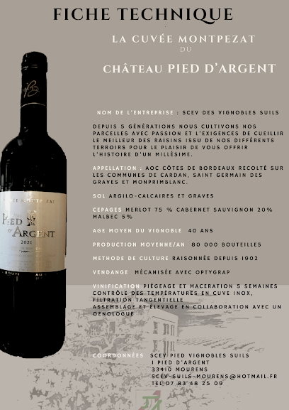 Château Pied D'argent Vignoble à Mourens