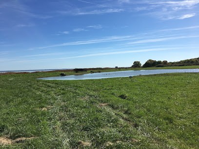 Vignobles Peyruse, Vignoble à Saint-Christoly-Médoc