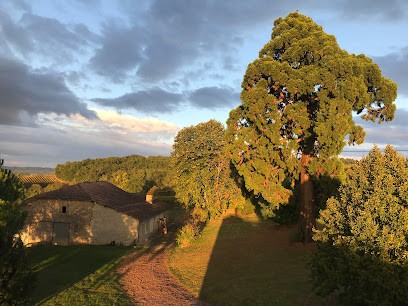 Château Ferreyres, Vignoble à Pujols