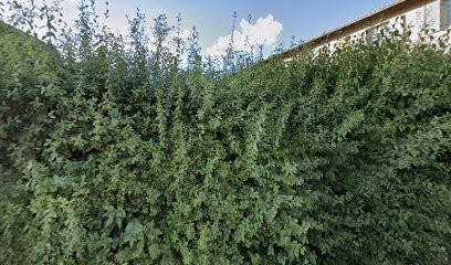 Julien Duport, Vignoble à Odenas