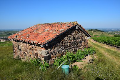 Domaine Viticole Le Fagolet, Vignoble à Vaux-en-Beaujolais