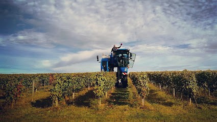Château Saint Florent, Vignoble à Pujols