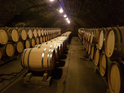 Domaine Des Chauchoux Vignoble à Rully