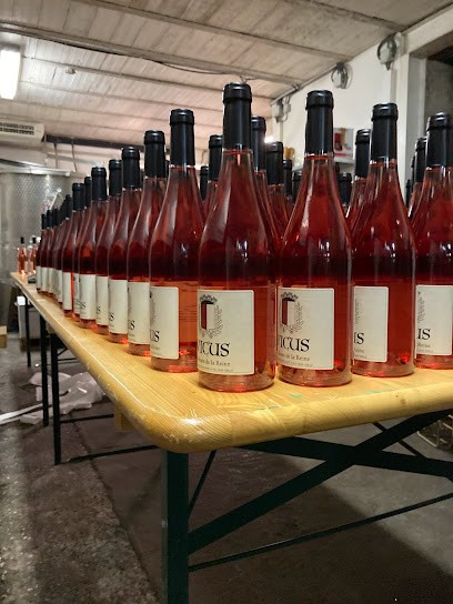 Domaine Vicus, Vignoble à Vic-sur-Seille