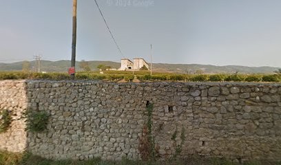 Gaec De Serzat, Vignoble à Valvignères