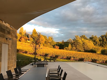 Chateau Picoron, Vignoble à Sainte-Colombe