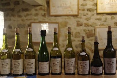 Philippe Vandelle (EARL), Vignoble à L'Étoile