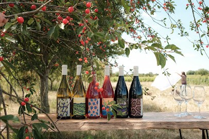 Domaine Breton Catherine et Pierre, Vignoble à Benais