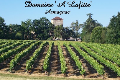 Domaine A Lafitte, Vignoble à Sion