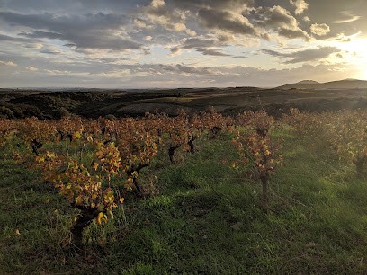 Domaine Montgros, Vignoble à Cabrerolles