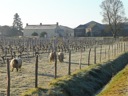 Lebreton Jean-Hubert et Christelle, Vignoble aux Alleuds