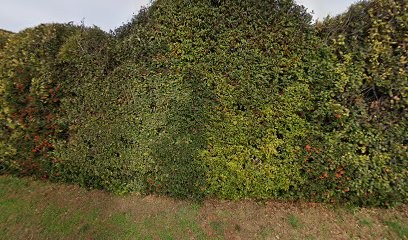 Earl De Pecout, Vignoble au Tholonet