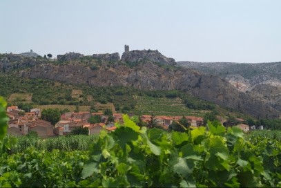 Earl Domaine Bonzoms, Vignoble à Tautavel