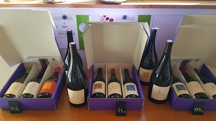 LA JASSE CASTEL, Vignoble à Saint-Jean-de-Fos