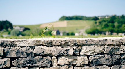 Domaine MIA - Clos La Marche Monopole, Vignoble à Mercurey