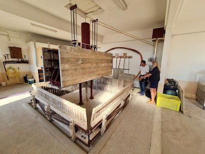 Champagne Fabrice Bertemès, Vignoble à Trépail