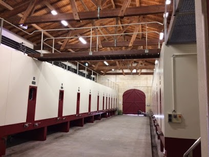 Château DURAND-LAPLAGNE, Vignoble à Puisseguin