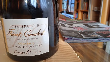 Crochet Ferat Claudine Lea, Vignoble à Talus-Saint-Prix