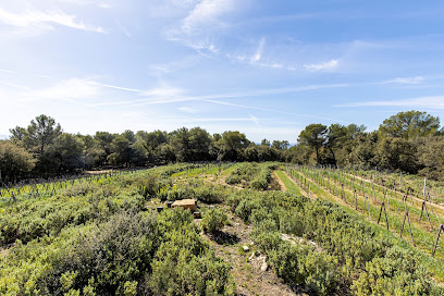 Le Barretian Vignoble à Villecroze
