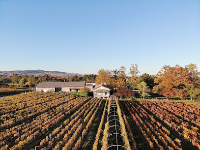 Clos Du Vieux Bourg - Dominique Piron Vignoble à Corcelles-en-Beaujolais