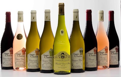 DOMAINE DU COLOMBIER - Bretaudeau Jean-Yves - Muscadet, Vignoble à Sèvremoine