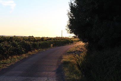 Domaine De Sainte Anne, Vignoble à Marcorignan