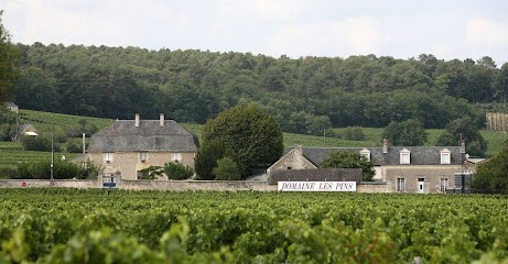 SCEV PITAULT-LANDRY & FILS, Vignoble à Bourgueil