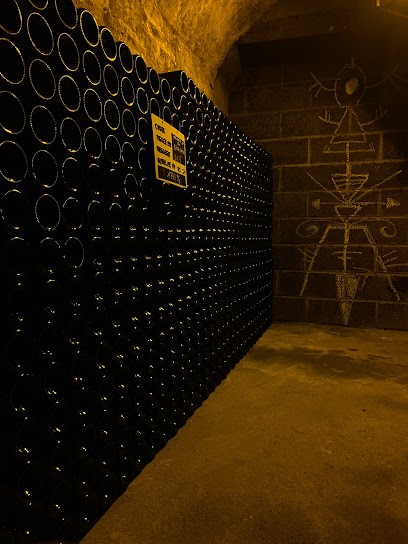 Champagne Herbert Didier, Vignoble à Rilly-la-Montagne